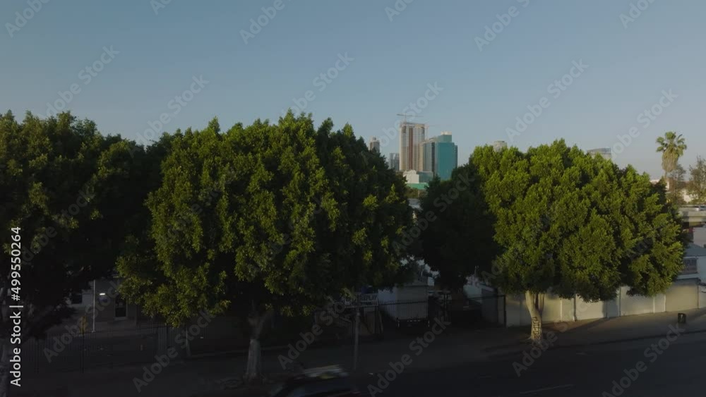 rising over trees revealing downtown LA skyline rising over trees revealing downtown LA skyline