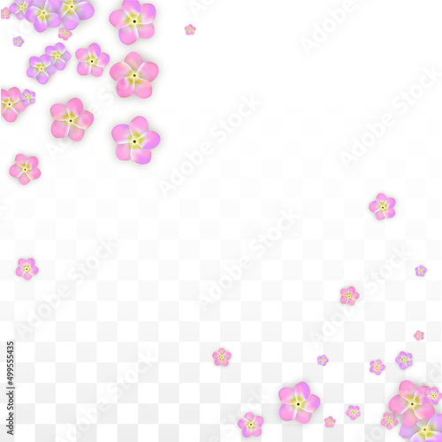 Vector Realistic Pink Flowers Falling on Transparent Background. Spring Romantic Flowers Illustration. Flying Petals. Sakura Spa Design. Blossom Confetti. Design Elements for Wedding Decoration. © Feliche _Vero