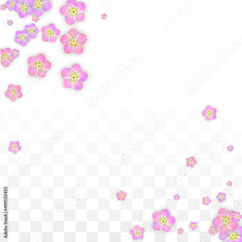 Vector Realistic Pink Flowers Falling on Transparent Background. Spring Romantic Flowers Illustration. Flying Petals. Sakura Spa Design. Blossom Confetti. Design Elements for Wedding Decoration.