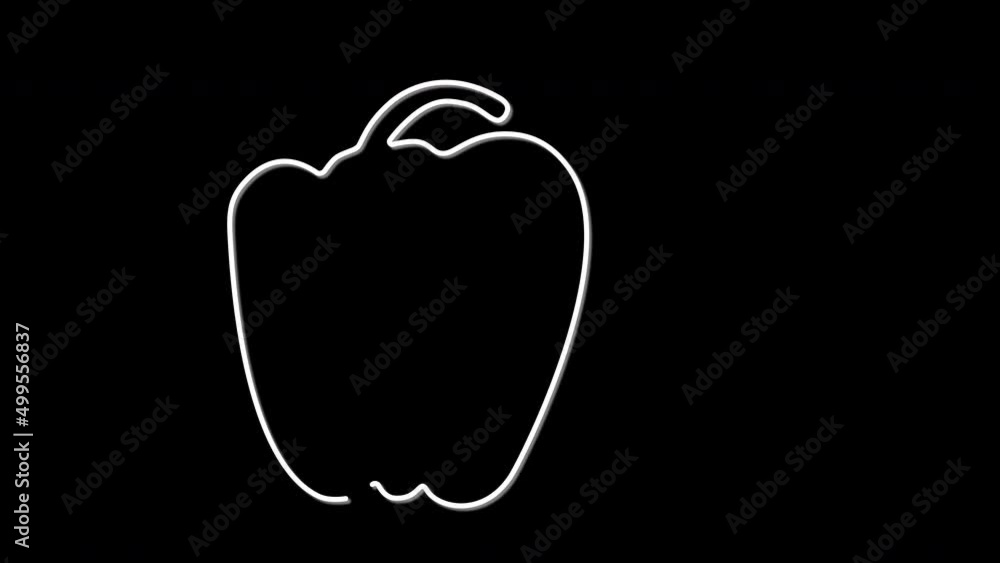 Bell pepper, paprika outline self drawing animation. Line art. Black background. Bell pepper, paprika outline self drawing animation. Line art. Black background.