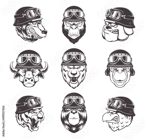 Motorbike club labels. Sport emblems with wild animals in helmets aggressive style faces exact vector pictures set