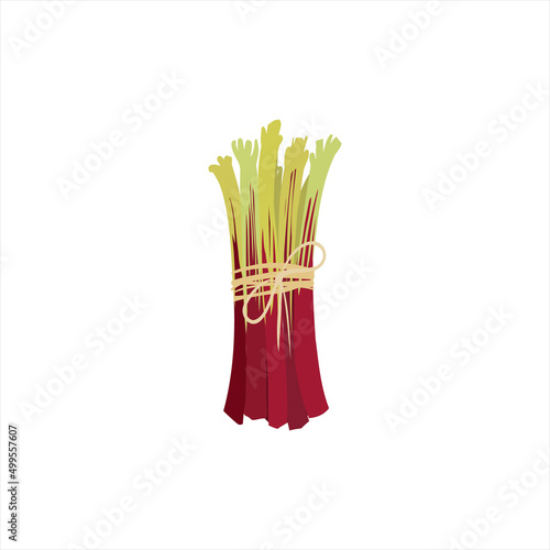 Rhubarb bunch vector illustration in cartoon flat style