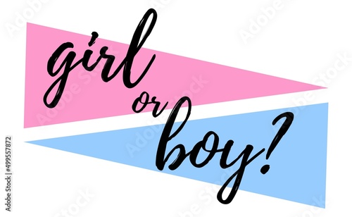 Boy or girl hand drawn modern lettering - Baby shower announcement banner, card - Gender reveal party - Vector illustration isolated