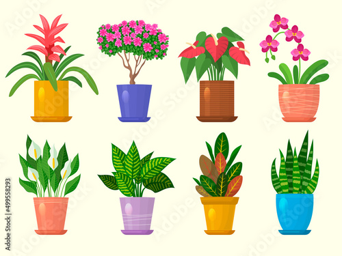Flowers in pot. Botanical home decoration flowers and leaves recent vector nature illustrations