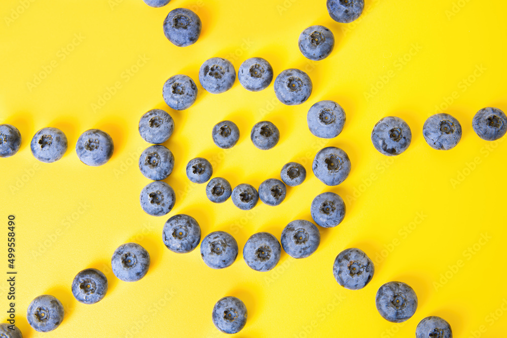 Sun shape made from fresh blueberries Sun shape made from fresh blueberries