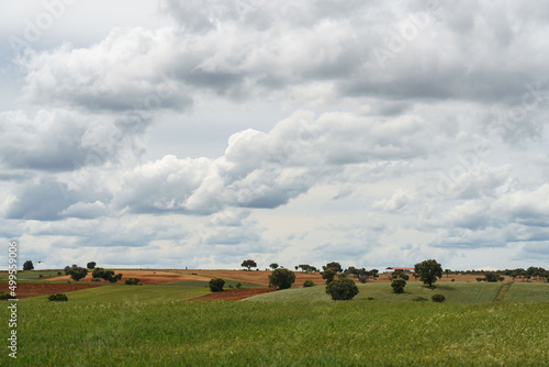 Landscape of fields of Zamora, Castilla y León, Spain