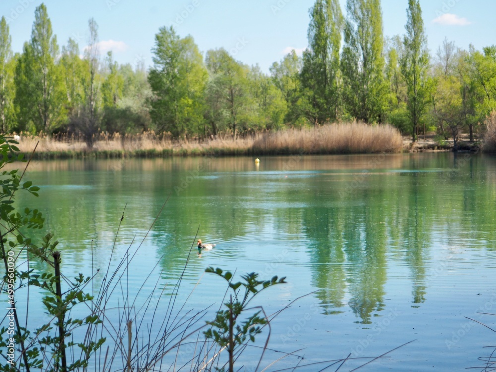 La lac des vandales à Manosque en Provence Alpes ôte d'Azur 