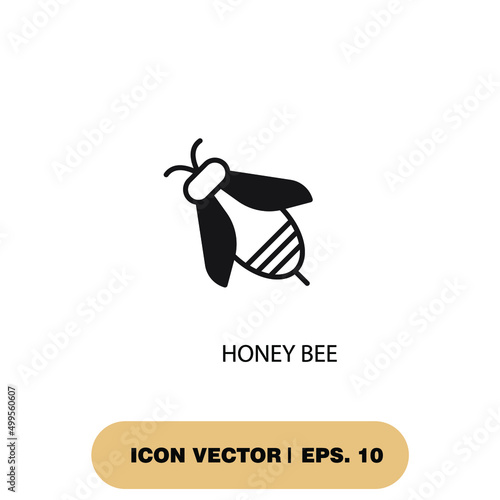 honey bee icons symbol vector elements for infographic web