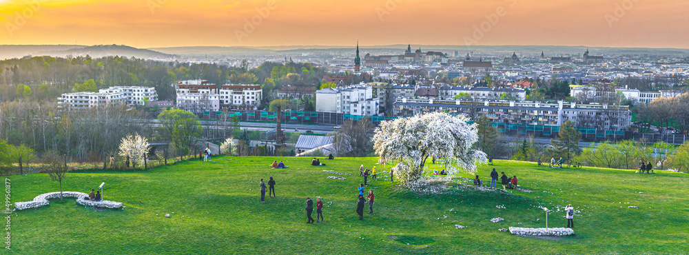 Widok na Kraków, panorama miasta z Kopca Krakusa, kwitnące drzewo śliwki - obrazy, fototapety, plakaty 