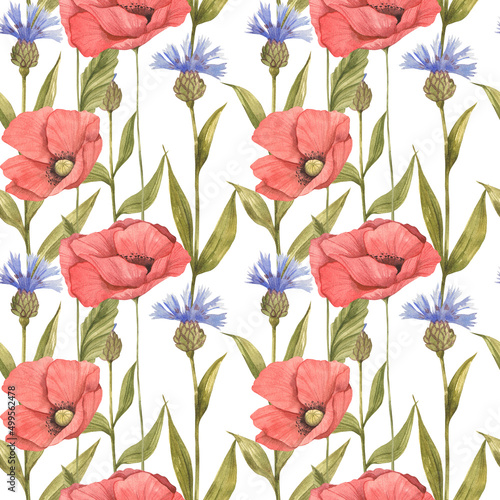 watercolor botanical seamles pattern  wild flowers  poppy digital paper