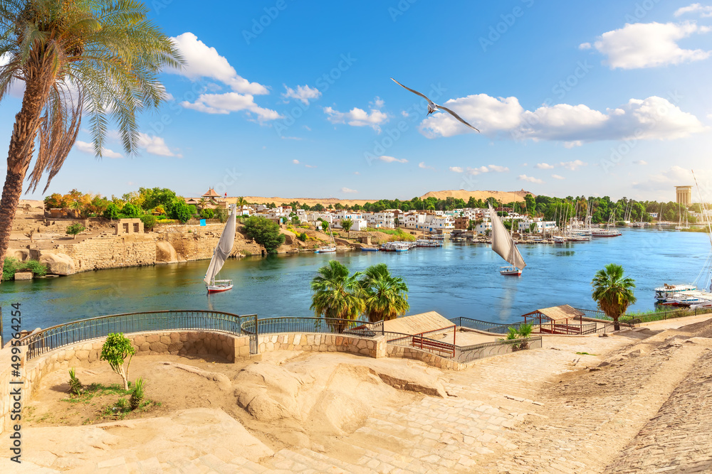 Traditional view of Aswan by the Nile river and sailboats, Egypt