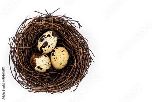 Raw quail eggs on a white background in a nest, top view, healthy eating concept