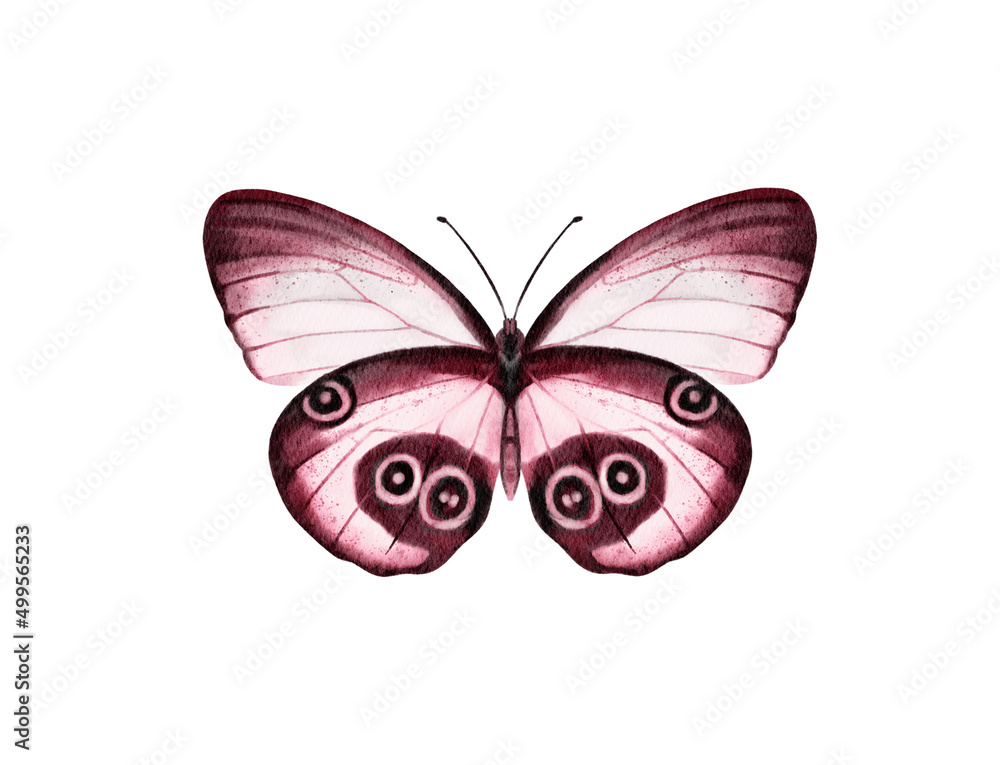 Butterfly watercolour clip art for wedding invitation or greeting cards Butterfly watercolour clip art for wedding invitation or greeting cards
