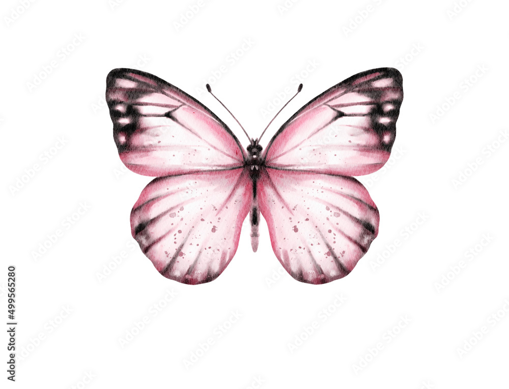 Butterfly watercolour clip art for wedding invitation or greeting cards Butterfly watercolour clip art for wedding invitation or greeting cards