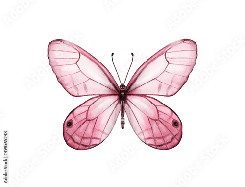 Butterfly watercolour clip art for wedding invitation or greeting cards