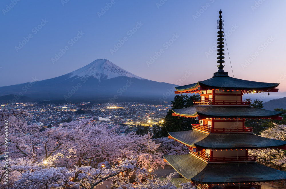 春の新倉山浅間公園の忠霊塔に咲く満開の桜と富士山の夕景