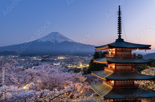 春の新倉山浅間公園の忠霊塔に咲く満開の桜と富士山の夕景