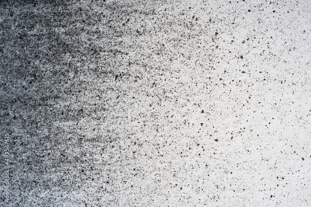 Fototapeta premium Close-up view of an old plaster. Background for various uses.
