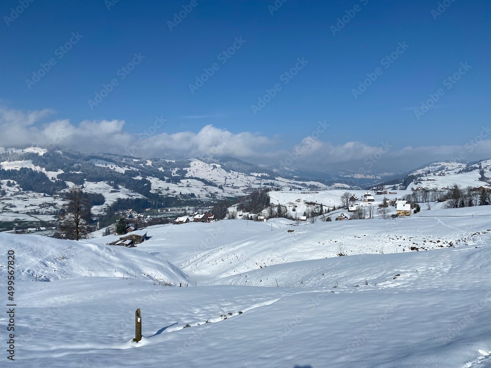 Winter snow idyll in the Thur river valley (or Thurtal) between the Alpstein and Churfirsten mountain massifs, Nesslau - Obertoggenburg region, Switzerland / Schweiz