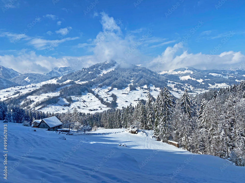 Obraz premium Winter snow idyll in the Thur river valley (or Thurtal) between the Alpstein and Churfirsten mountain massifs, Nesslau - Obertoggenburg region, Switzerland / Schweiz