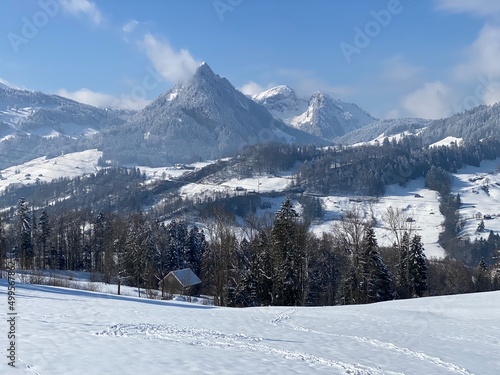 Winter snow idyll in the Thur river valley  or Thurtal  between the Alpstein and Churfirsten mountain massifs  Nesslau - Obertoggenburg region  Switzerland   Schweiz
