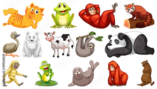 Wild animals on white background