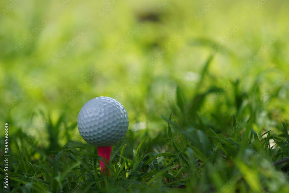 Golf ball is on tee at green lawn in a beautiful golf course with morning sunshine.Ready for golf in the first short. Golf ball is on tee at green lawn in a beautiful golf course with morning sunshine.Ready for golf in the first short.