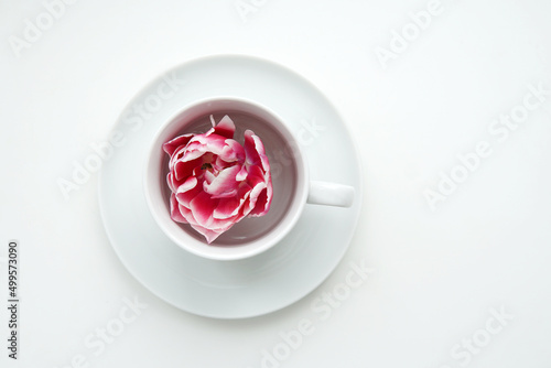 Cup with flower on a white background