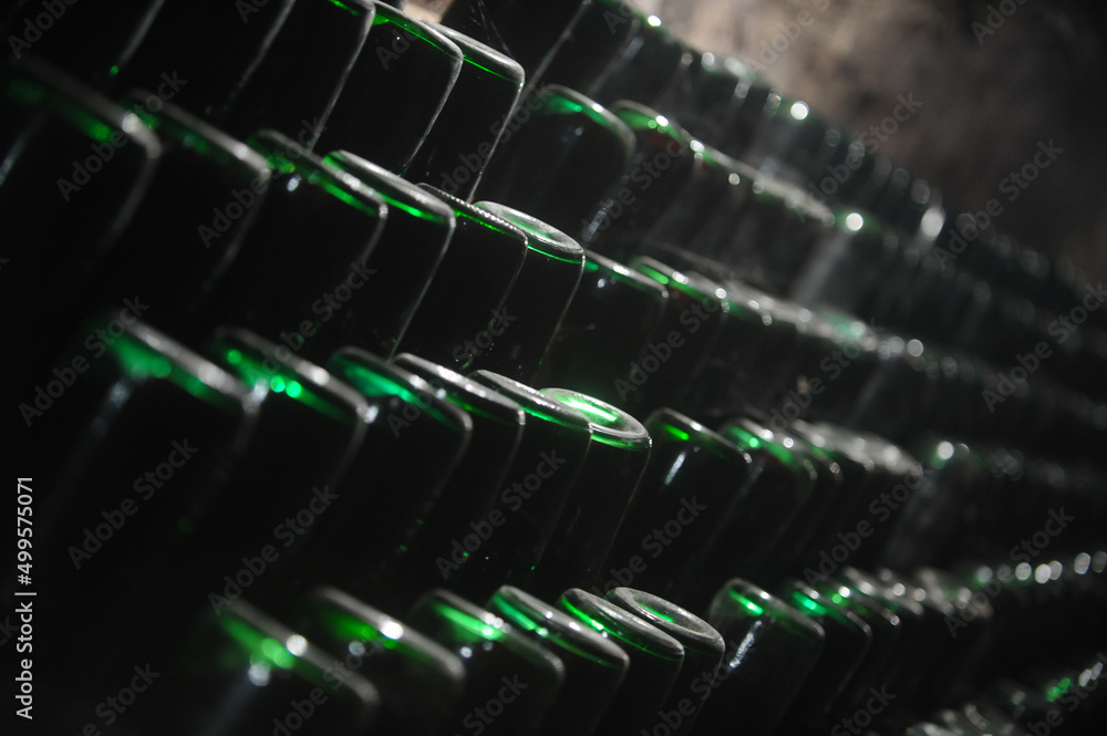 wine cellar. bottles of wine aged in special storage conditions. photo