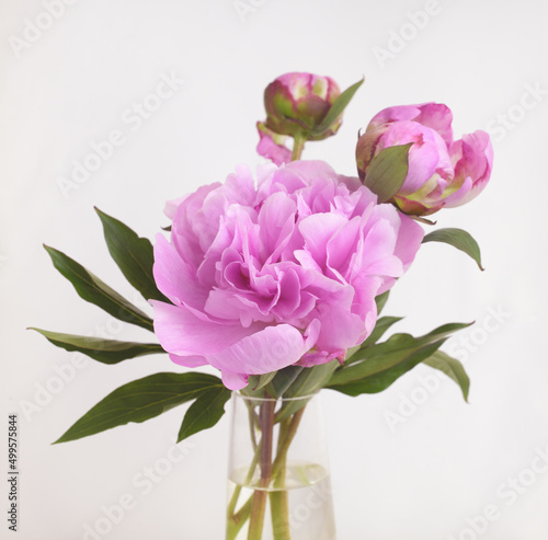 Bouquet of pink peony flowe...