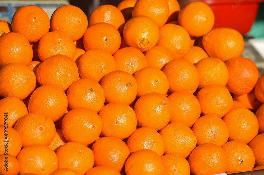 organic oranges in a supermarket. detail. organic oranges in a supermarket. detail.