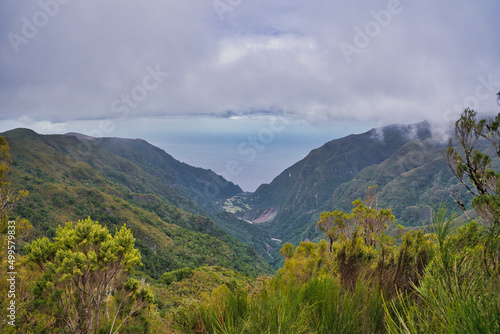 Erica arborea L. forest by the Atlantic ocean in Madeira Portugal with clouds