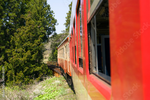 いすみ鉄道の国鉄形気動車キハ52・キハ28急行列車の車窓 桜と菜の花の春から新緑の季節へ変わる頃