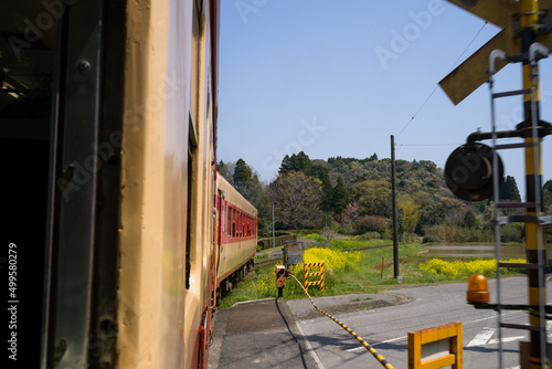 いすみ鉄道の国鉄形気動車キハ52・キハ28急行列車の車窓　桜と菜の花の春から新緑の季節へ変わる頃