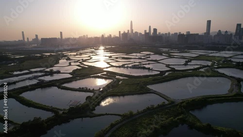 Shenzhen skyline , with skyscrapers and office against fish farm or fish ponds, during dramatic moment in evening, from the view of boundary of Hong Kong suburb where is named Ma Tao Lung in pan mood photo