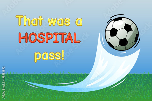 Football (soccer) ball flies into the goal, gate. Stadium with grass. With text