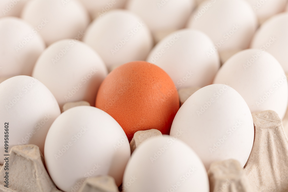 Fragment of a tray with brown and white chicken eggs. Fragment of a tray with brown and white chicken eggs.