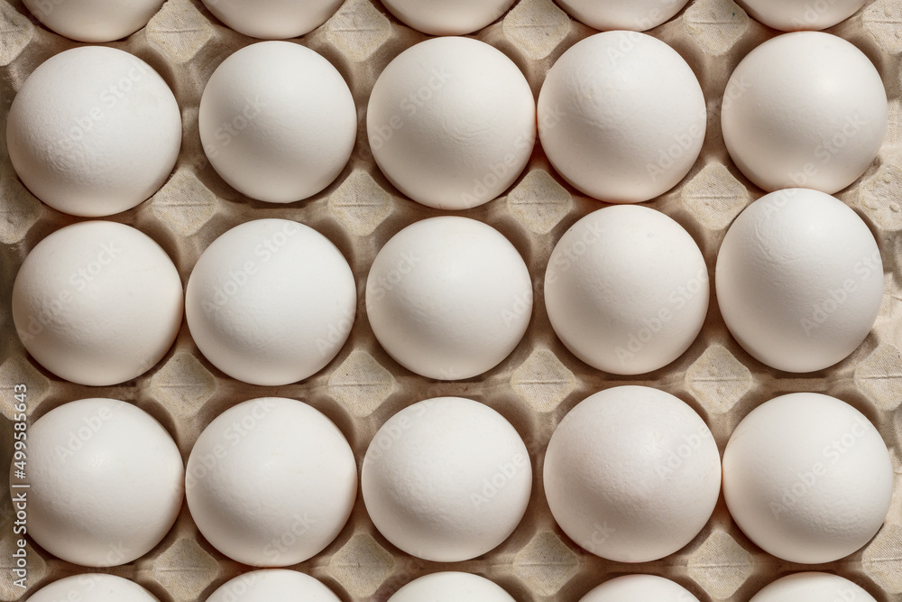 Fragment of a tray with white chicken eggs. Top view. Fragment of a tray with white chicken eggs. Top view.