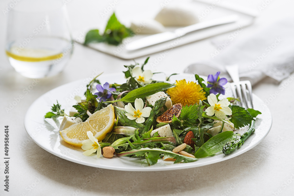 Dandelion salad spring Dandelion salad spring