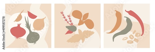 Abstract kitchen spices cards. Plants silhouettes, modern decorative posters with vegetables. Doodle elements, spring summer vegan neat vector banner