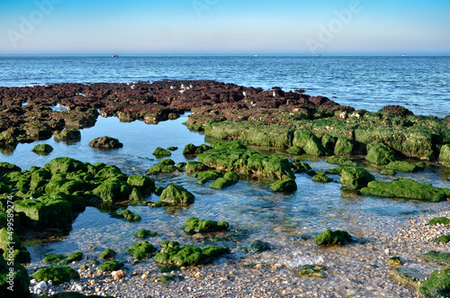 Low tide coastline of Etretat, commune in the Seine-Maritime department in the Haute-Normandie region in northwestern France