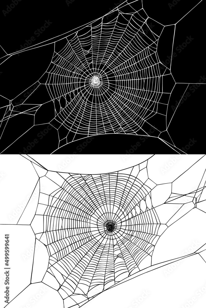 Obraz premium Halloween web. Vector isolated hand drawn linear drawing. Background for halloween party invitation.