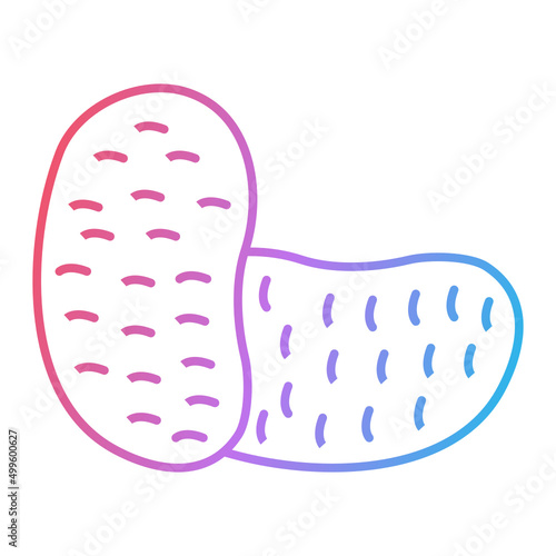 Potato Icon Design
