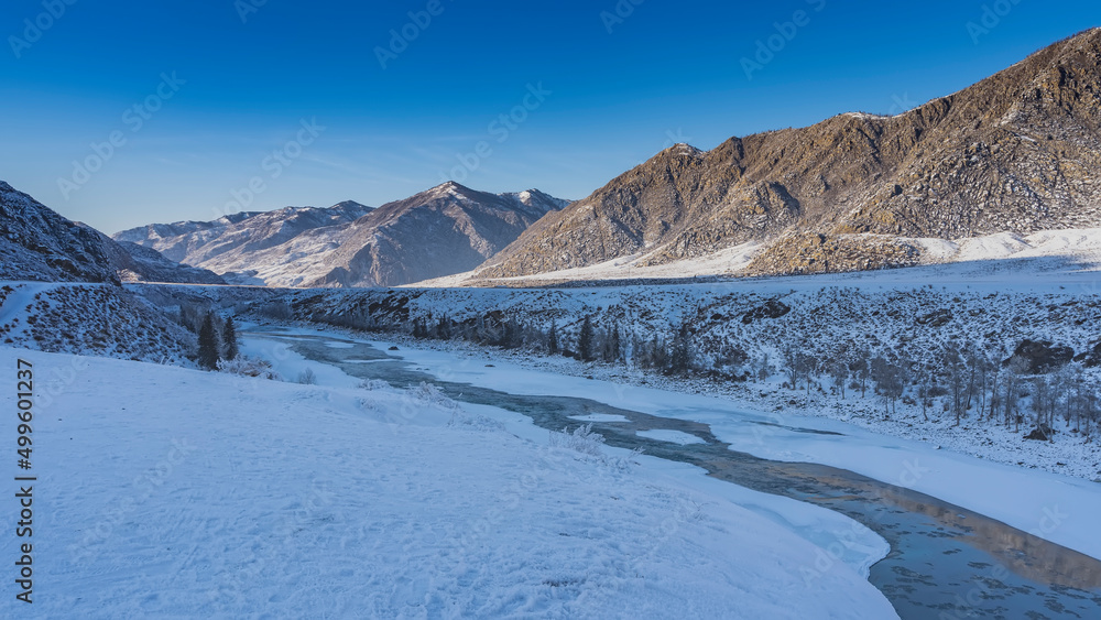 The turquoise river flows between the frozen shores. The melted ice is visible in the riverbed. Coniferous trees on the banks. A mountain range illuminated by the sun against a blue sky. Altai. Katun