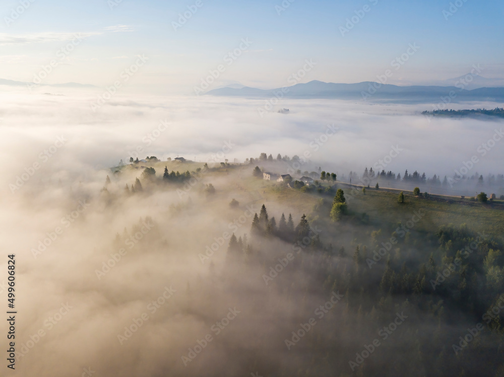 Fog envelops the mountain forest. The rays of the rising sun break through the fog. Aerial drone view.