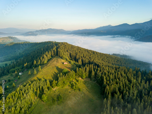 Fog envelops the mountain forest. The rays of the rising sun break through the fog. Aerial drone view.