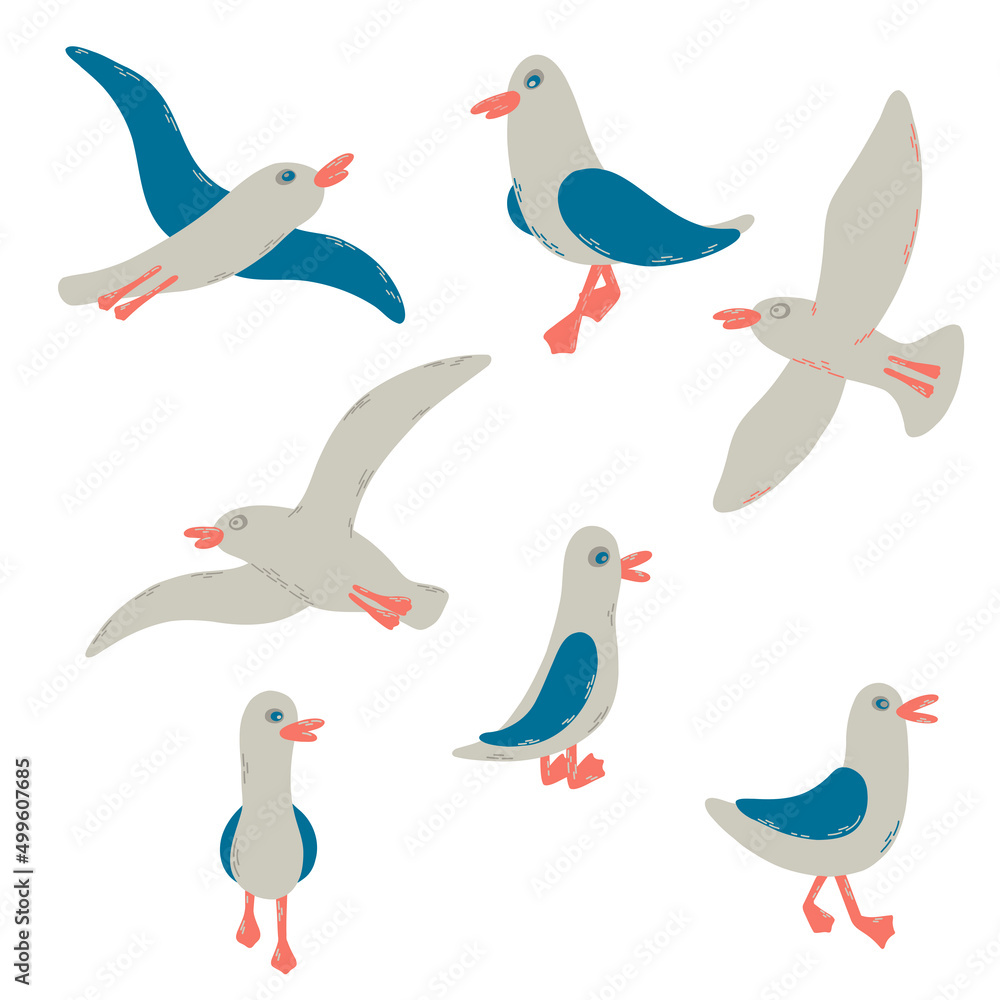 Cartoon atlantic seabird. 7gulls in a vector flat style. Cartoon atlantic seabird. 7gulls in a vector flat style.