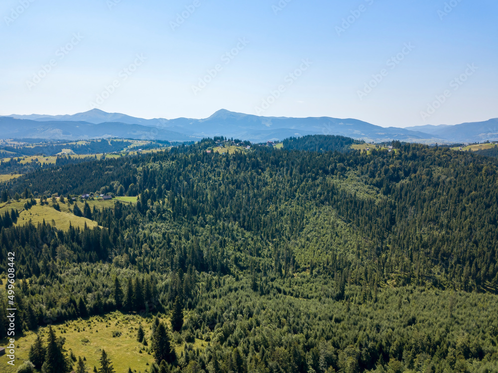 Fototapeta premium Green mountains of Ukrainian Carpathians in summer. Sunny clear day. Aerial drone view.