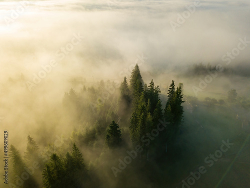 Foggy summer morning in the Ukrainian Carpathians. Aerial drone view.