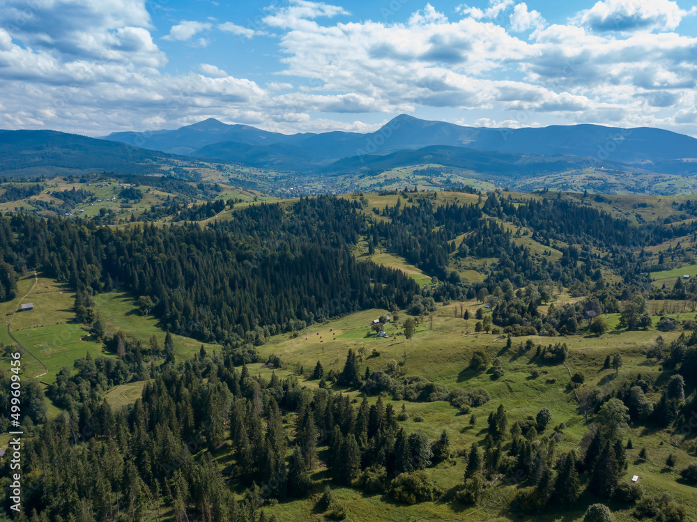 Green mountains of Ukrainian Carpathians in summer. Coniferous trees on the slopes. Aerial drone view.